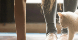 YogaBack