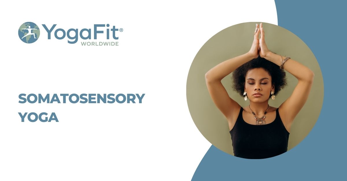 Somatosensory Yoga 1